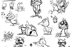 Birdie Sketches